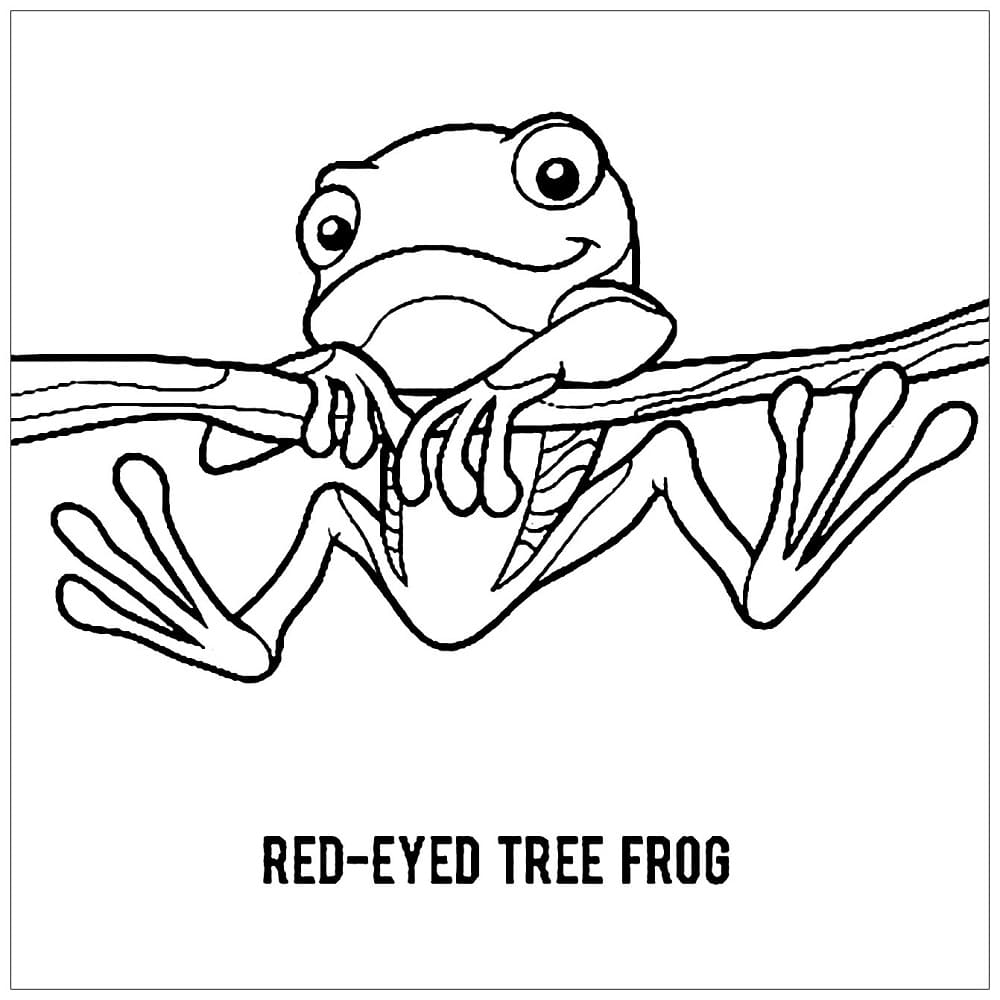 빨간눈 청개구리 coloring page