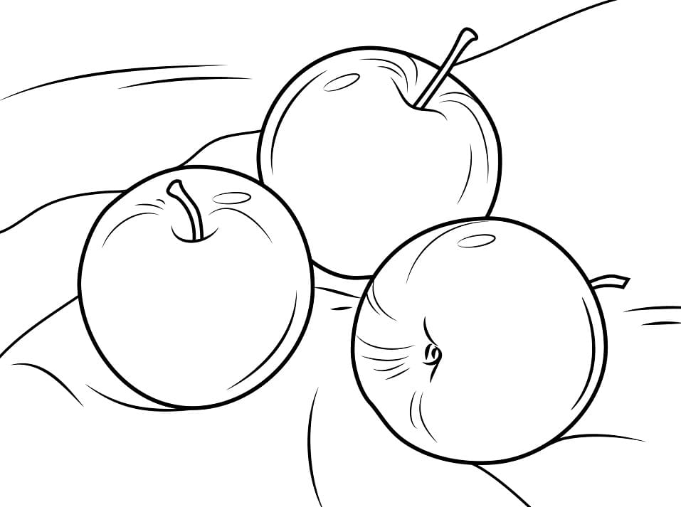 사과 3개 coloring page