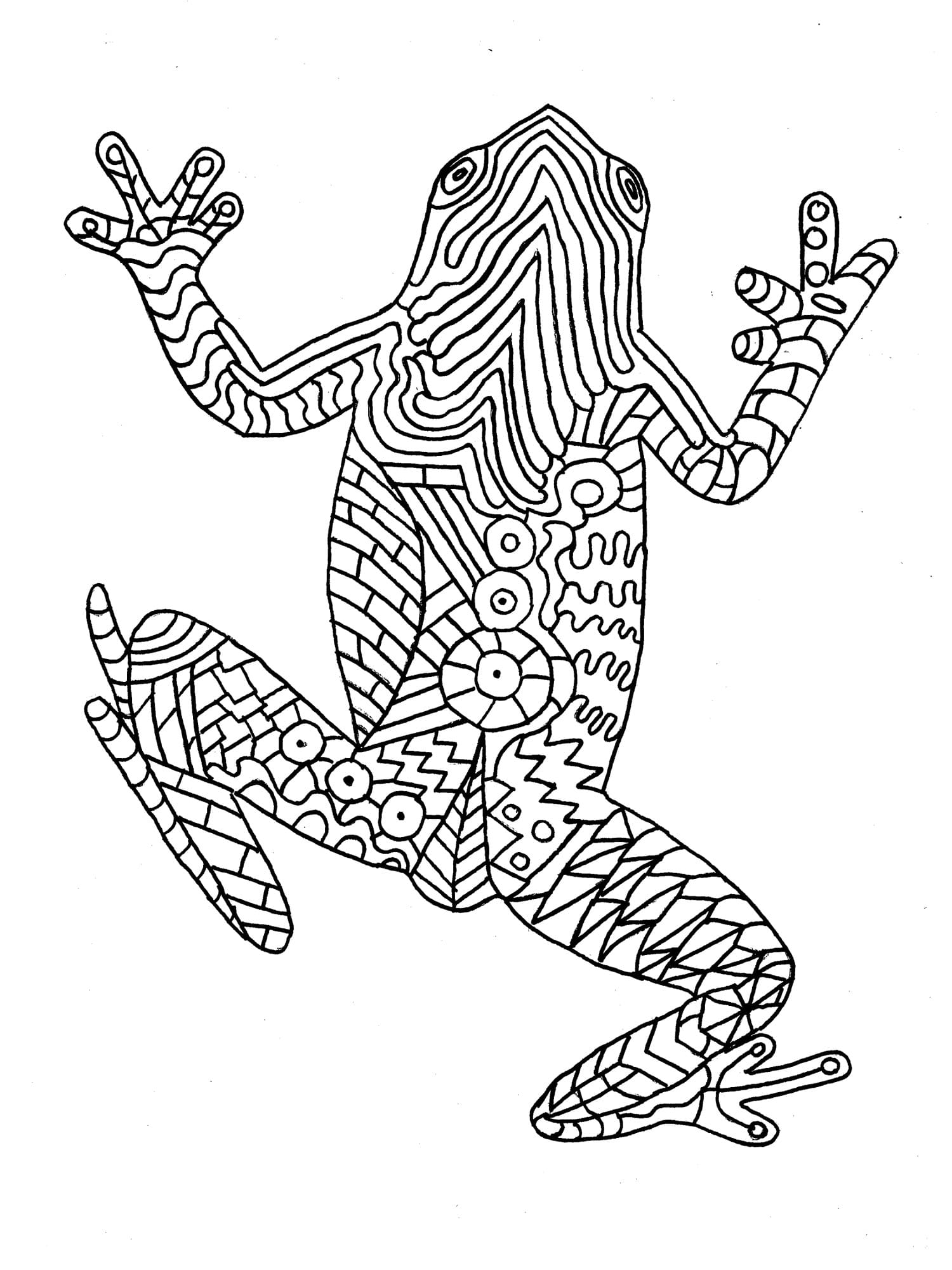 성인용 개구리 coloring page