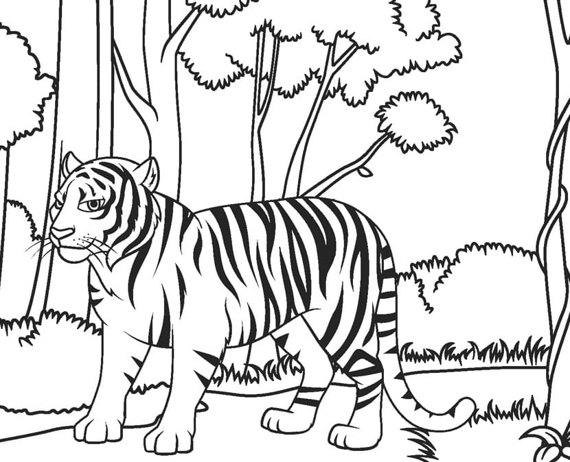 숲 속의 호랑이 coloring page