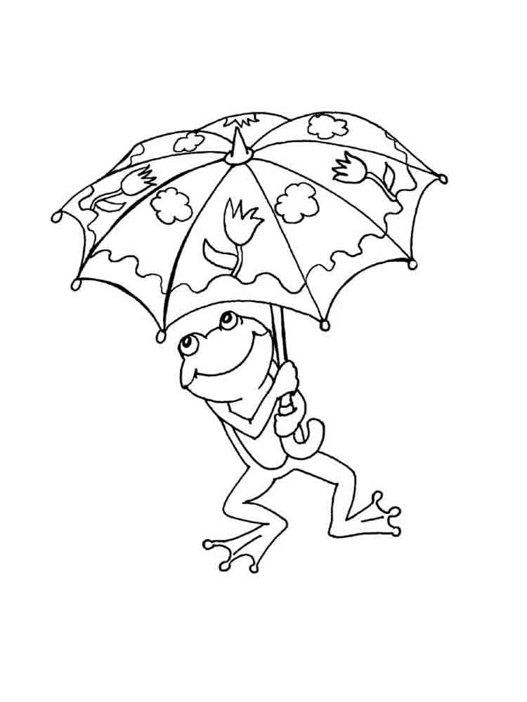 우산 쓴 개구리