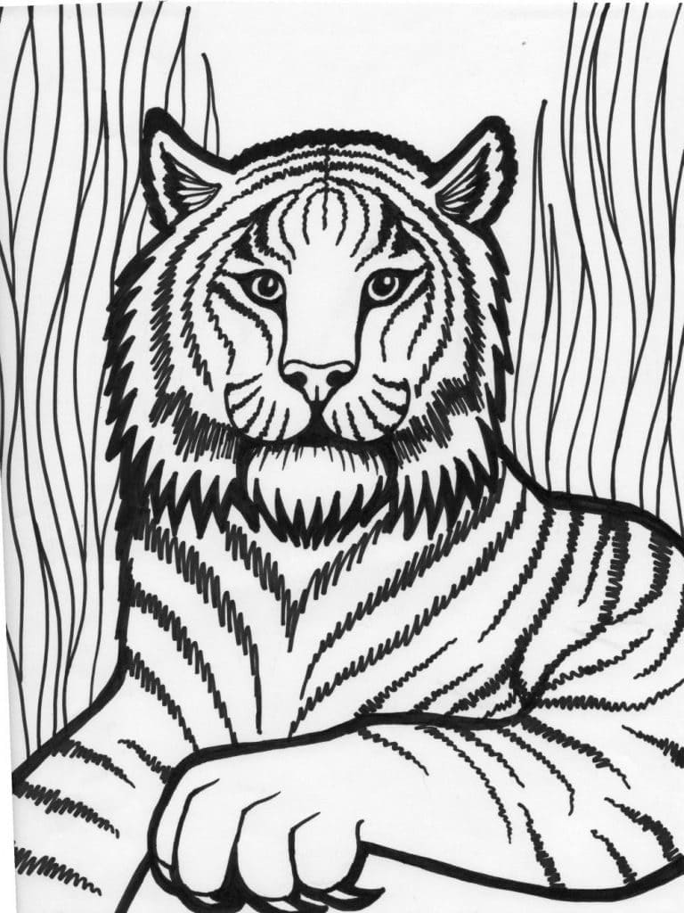 야생의 호랑이 coloring page