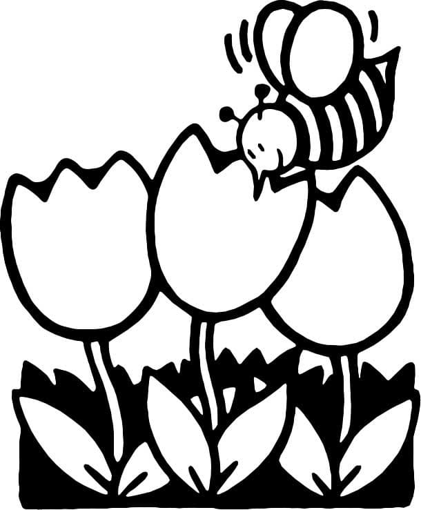 벌과 튤립 coloring page