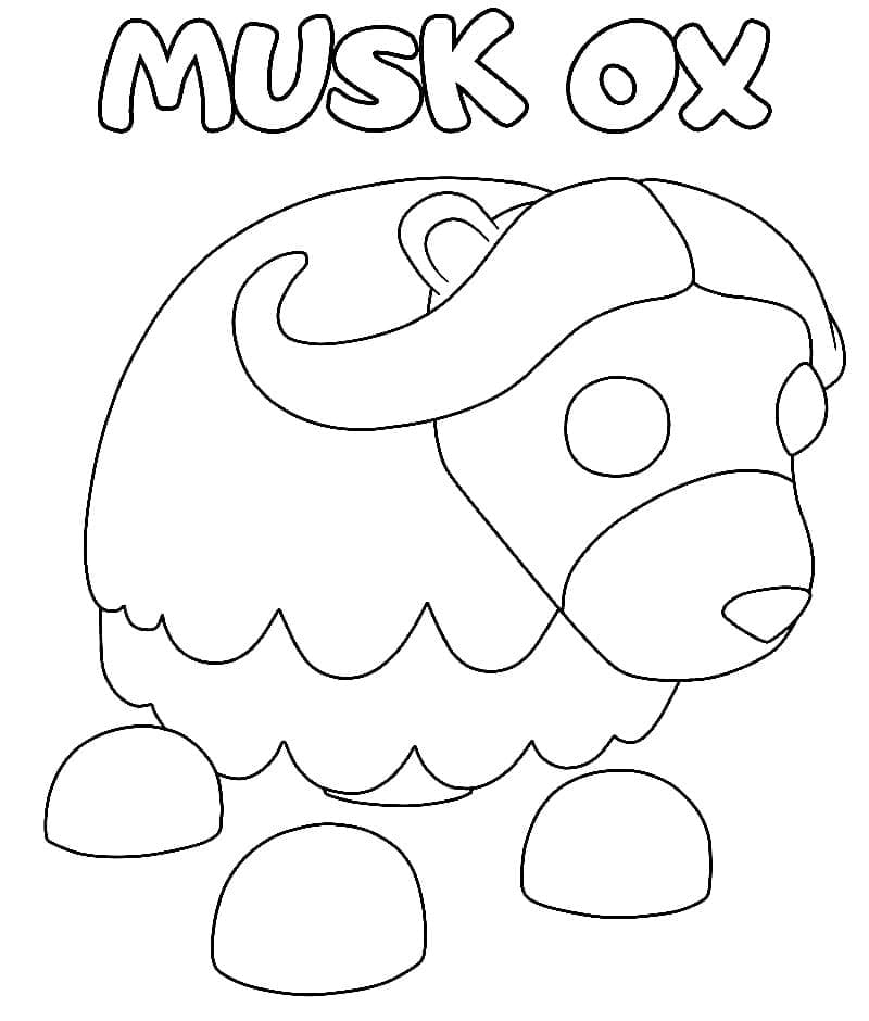 입양하세요 사향소 coloring page