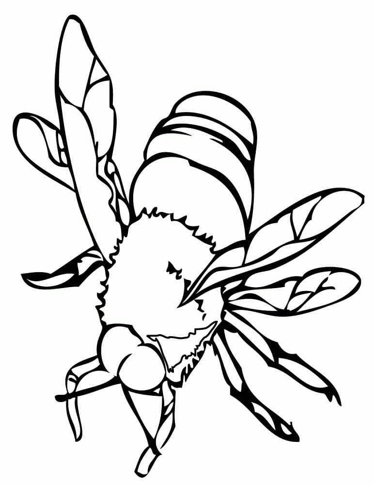 인쇄용 꿀벌 coloring page