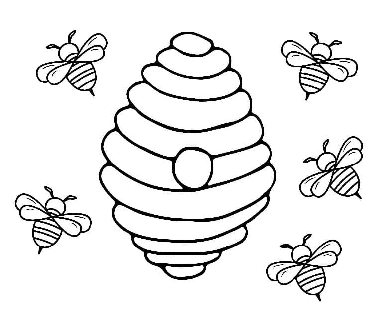 꿀벌과 벌집 coloring page