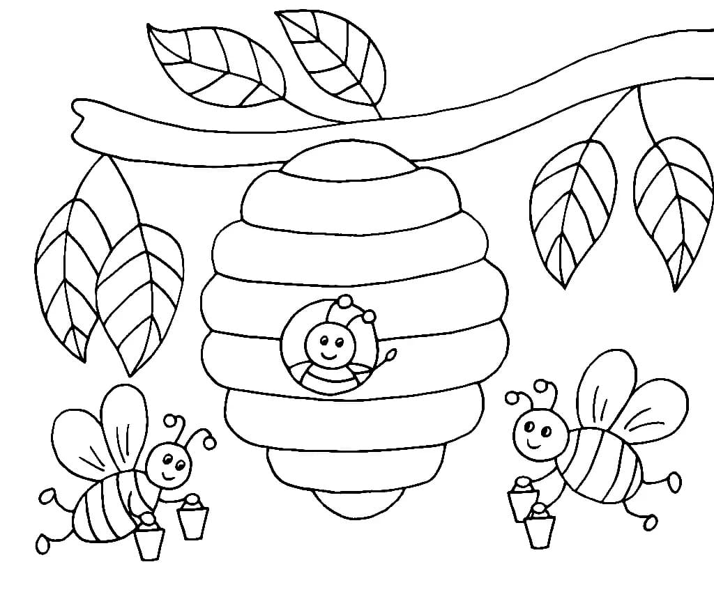 꿀벌과 벌집 coloring page