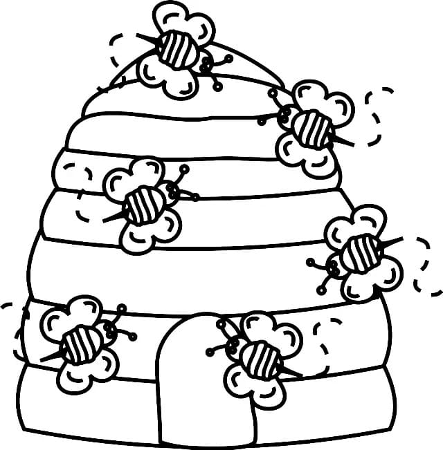 꿀벌과 벌집