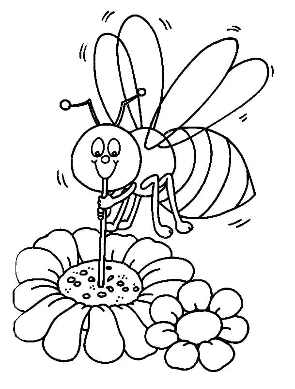 만화 꿀벌은 꿀을 빨아 coloring page