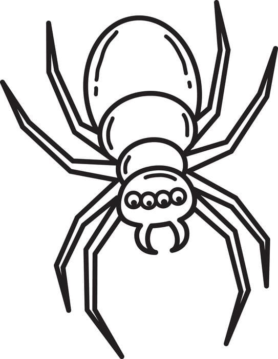 아주 단순한 거미 coloring page