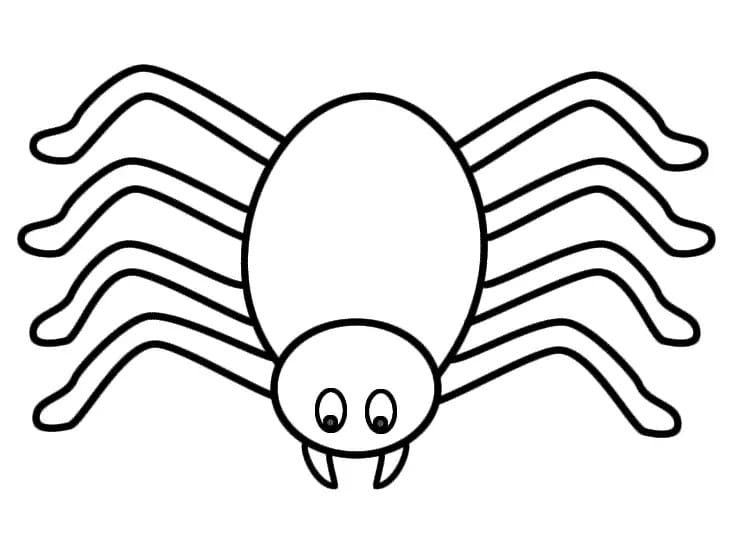 아주 쉬운 거미 coloring page