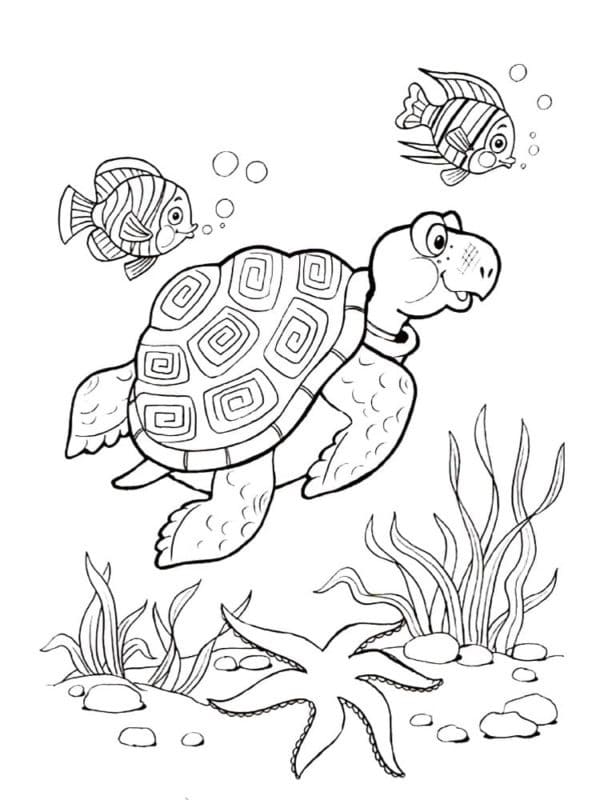 바다거북과 물고기 coloring page