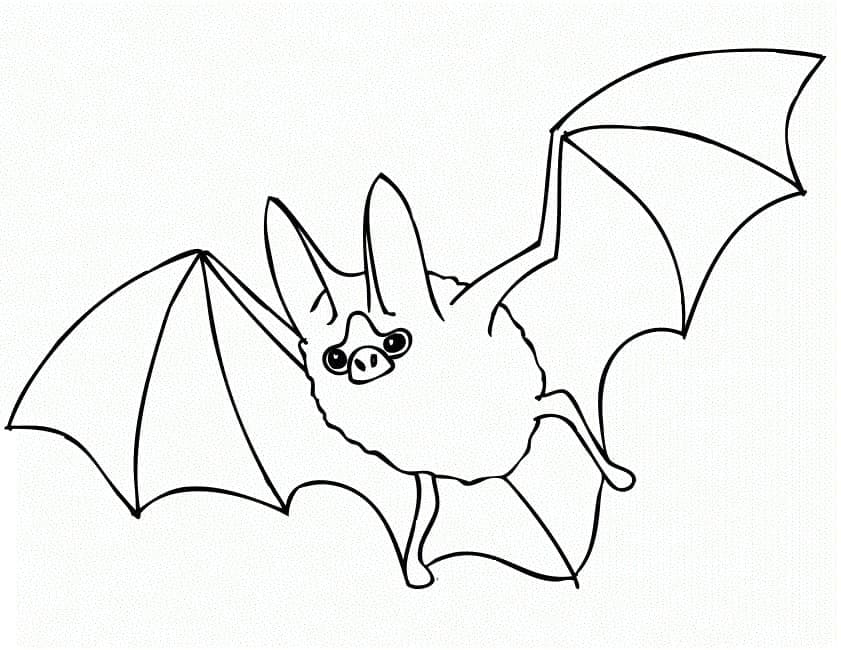 박쥐 인쇄 가능 coloring page