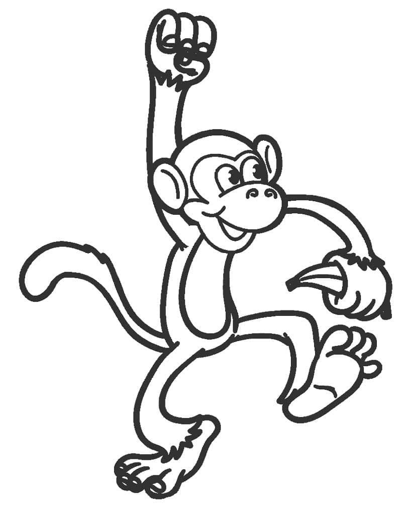 바나나를 들고 있는 원숭이