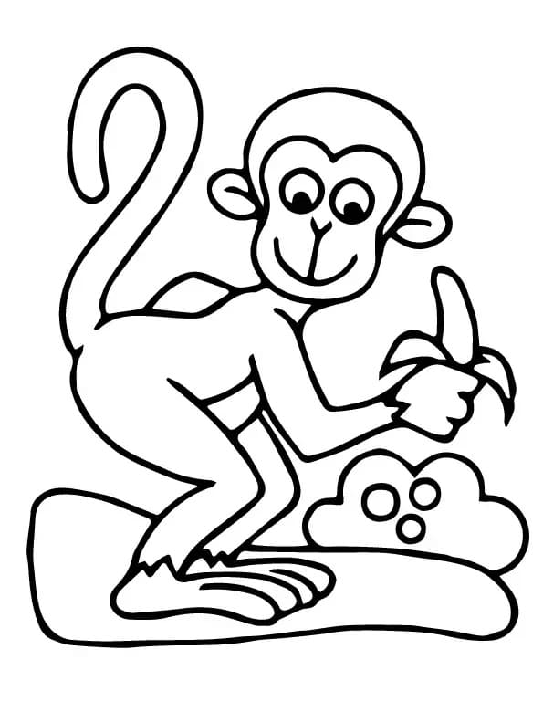 바나나를 가지고 있는 원숭이