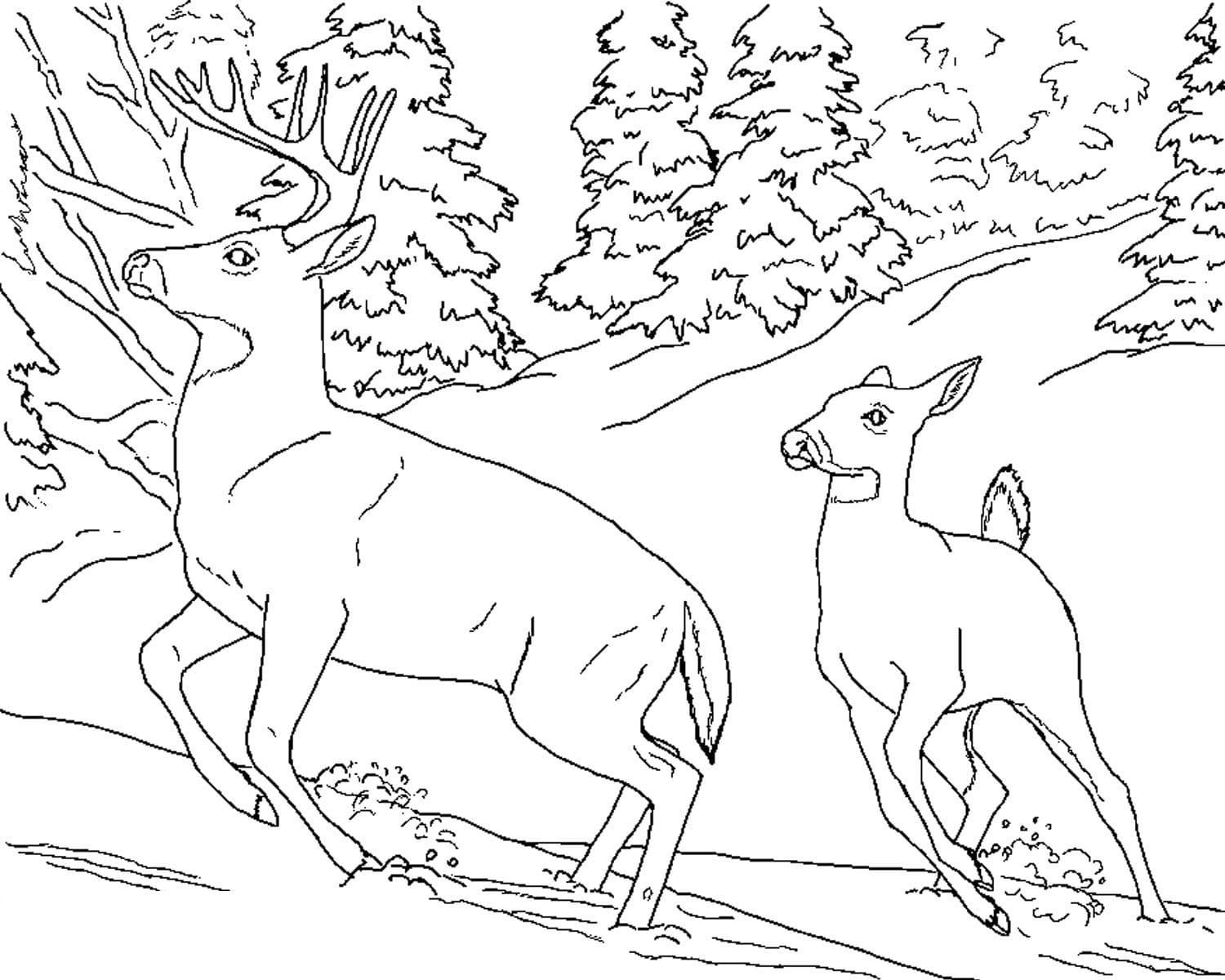 어린이를 위한 사슴 인쇄 가능 coloring page