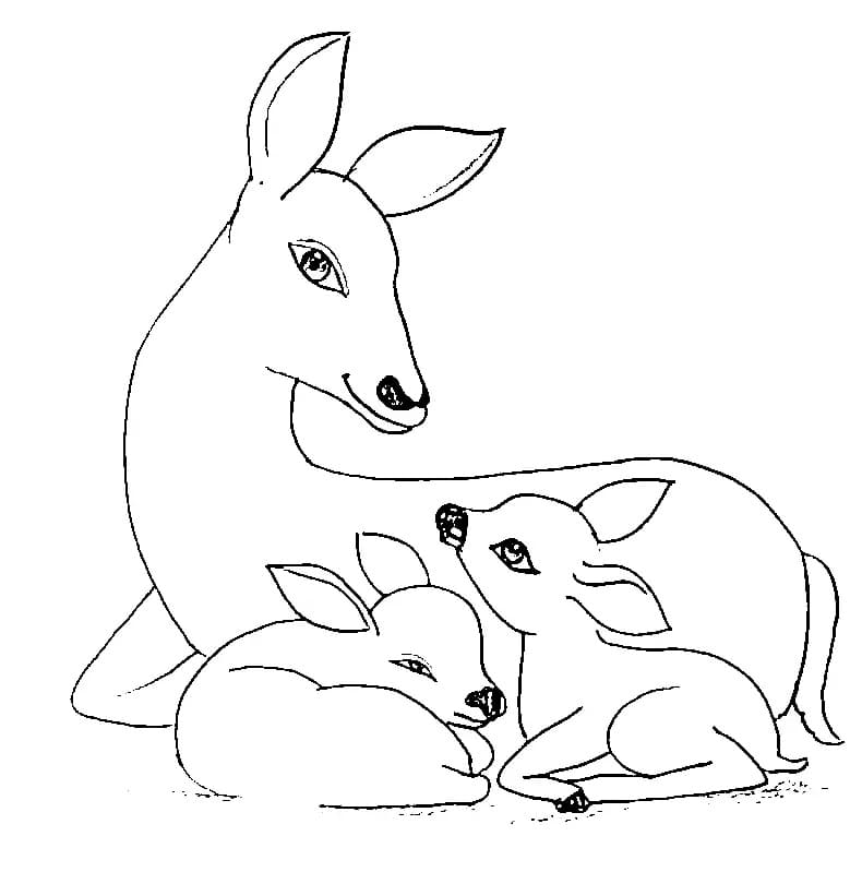 엄마 사슴과 새끼사슴 coloring page
