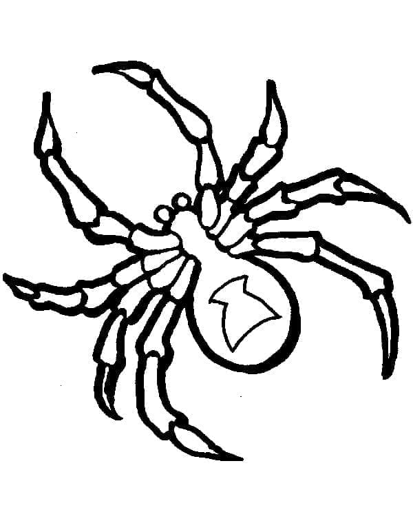 거미 무료 coloring page