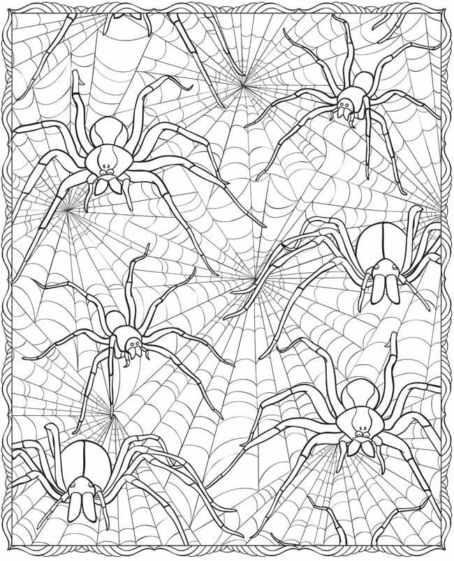 거미 패턴 coloring page