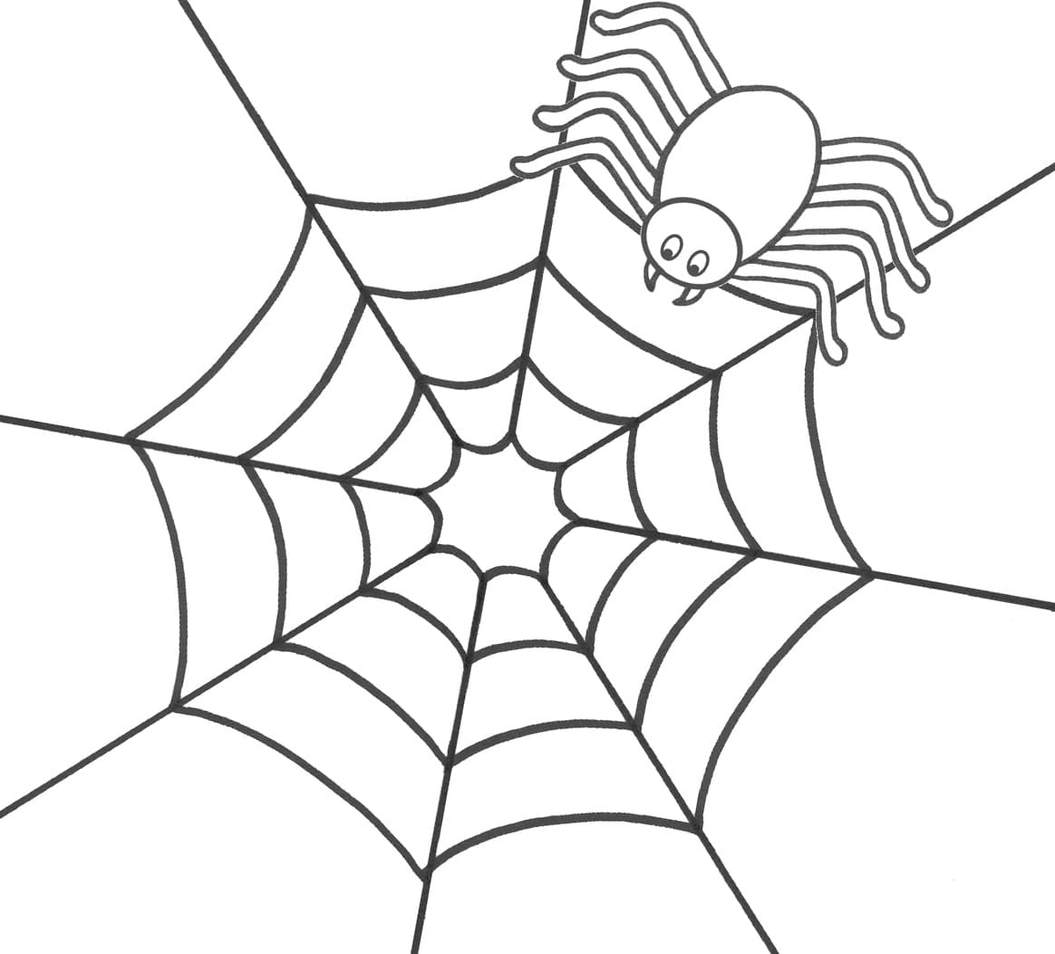 거미줄 위의 거미 coloring page
