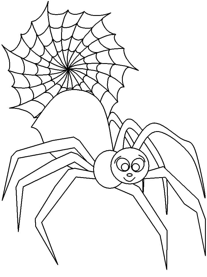 거미와 거미줄 coloring page