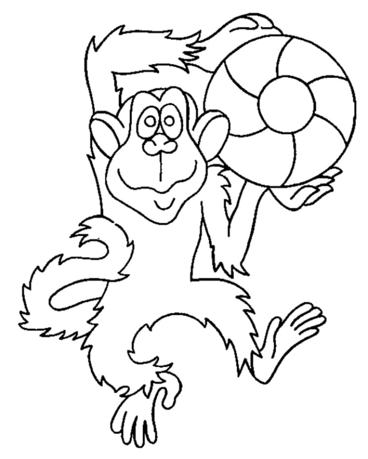 공을 가지고 있는 원숭이 coloring page