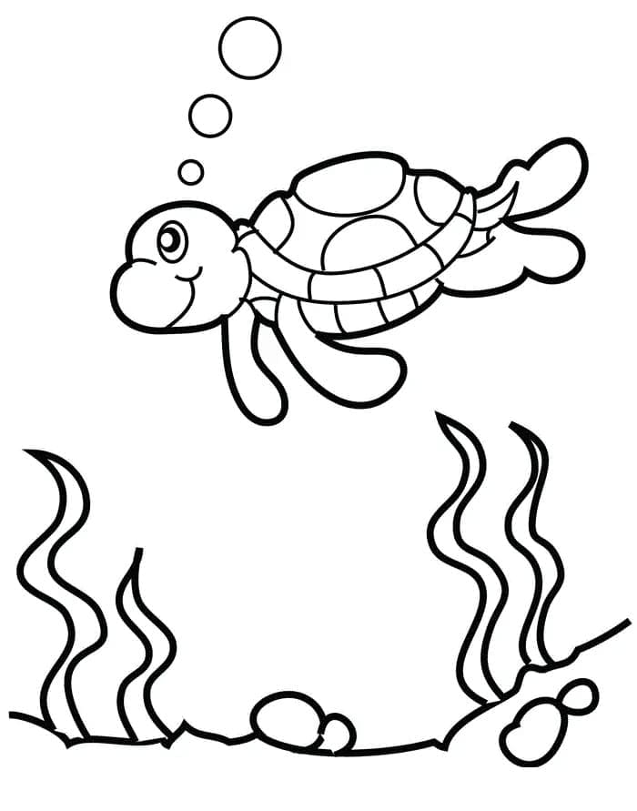 귀여운 바다거북 무료 coloring page