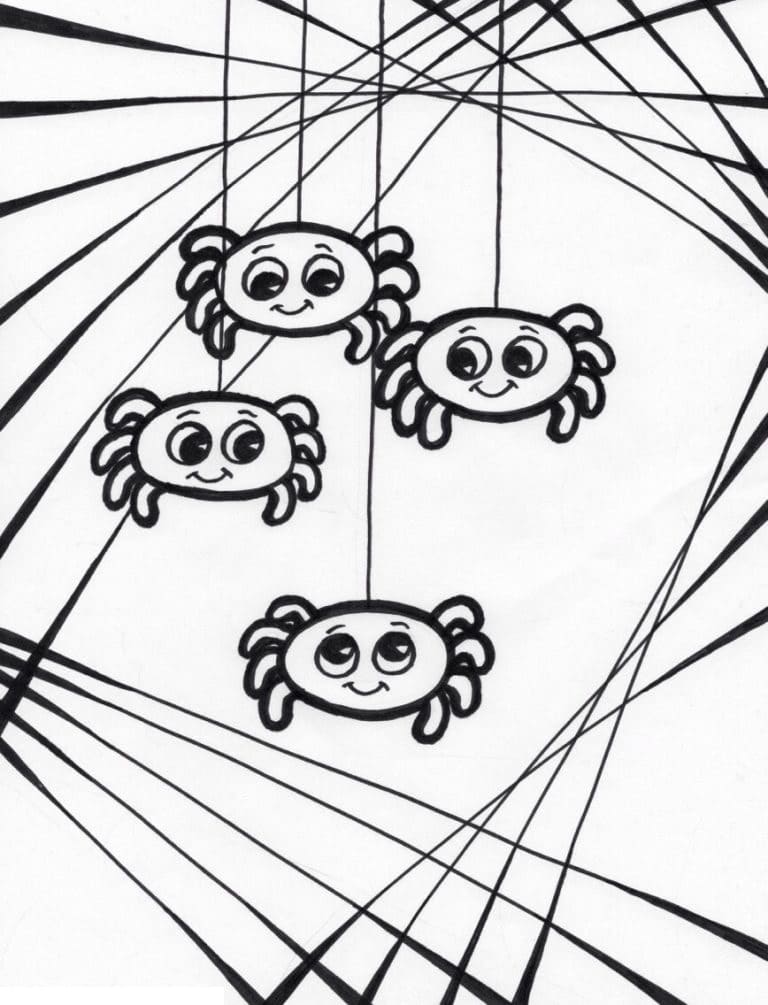 귀여운 거미 무료 coloring page