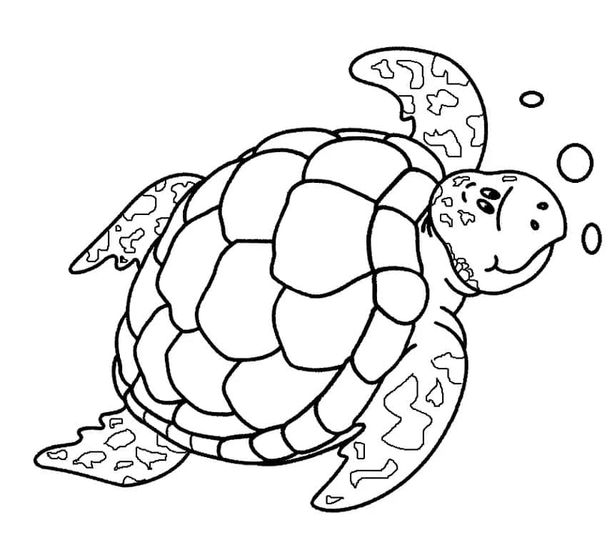 행복한 바다거북 coloring page