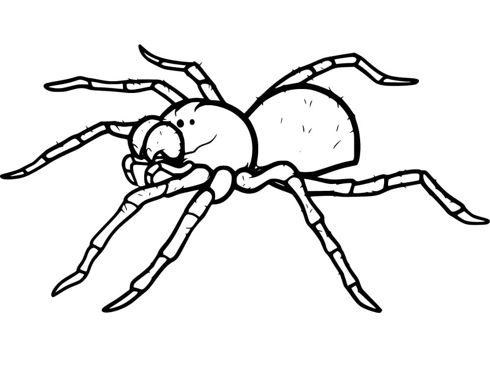 인쇄 가능한 무서운 거미 coloring page