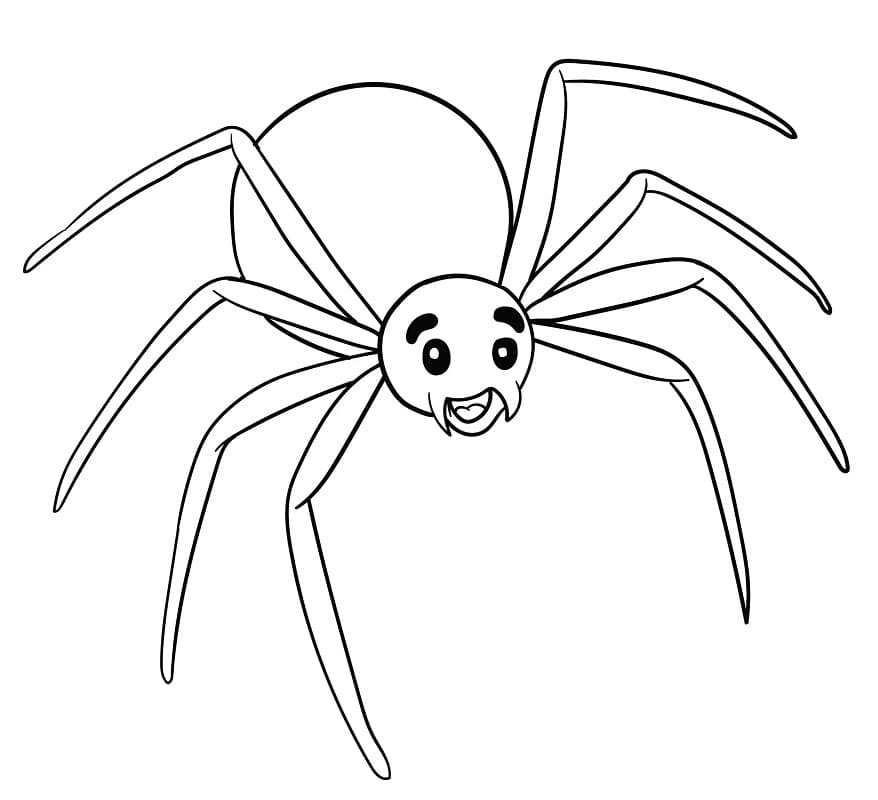 인쇄용 만화 거미 coloring page