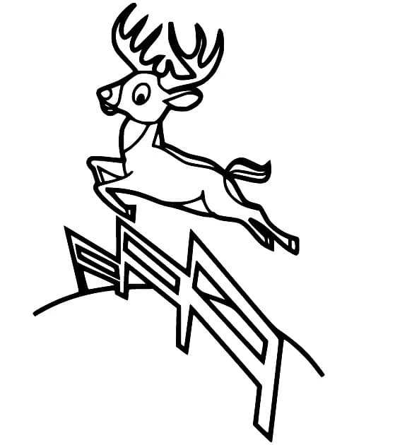 점프하는 사슴 coloring page