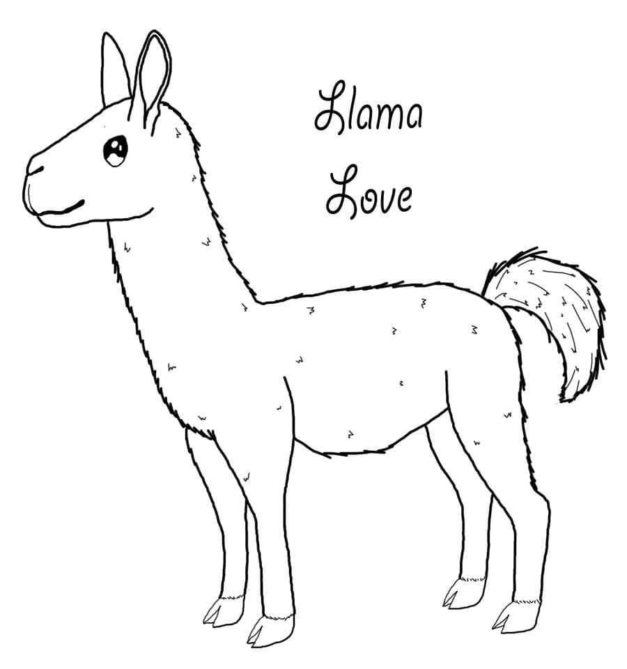 라마 사랑 coloring page