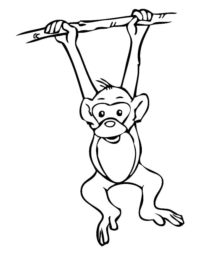 매달린 원숭이 coloring page
