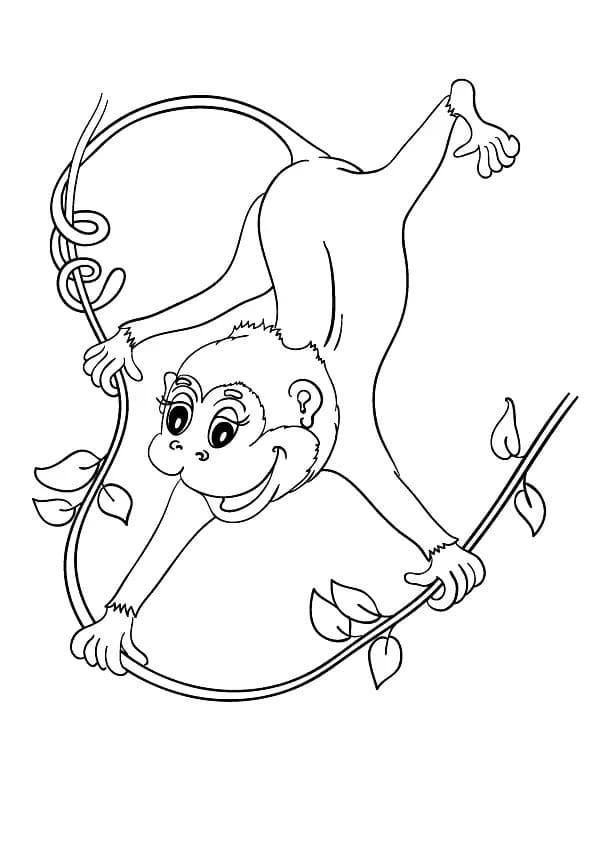 매달린 원숭이가 귀여워요 coloring page