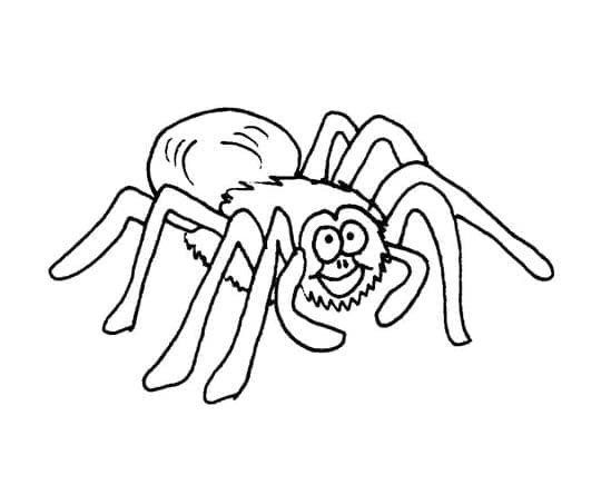 만화 거미 무료 coloring page