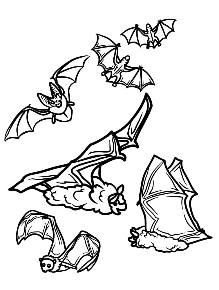 무료로 인쇄 가능한 박쥐 coloring page