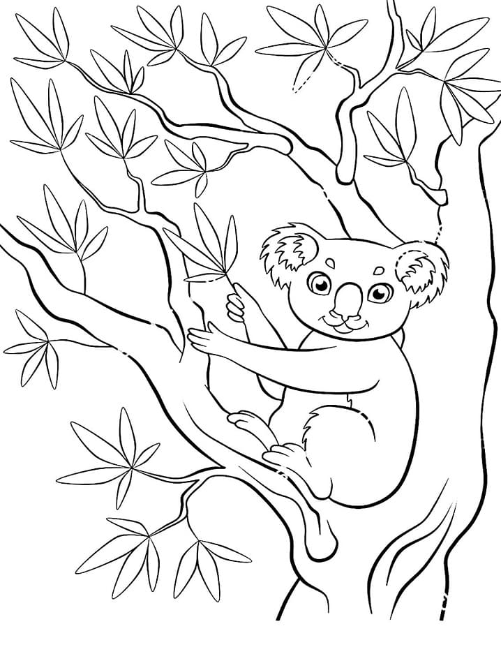 나무위의 귀여운 코알라 coloring page
