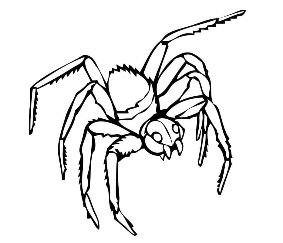 소름 끼치는 거미 coloring page