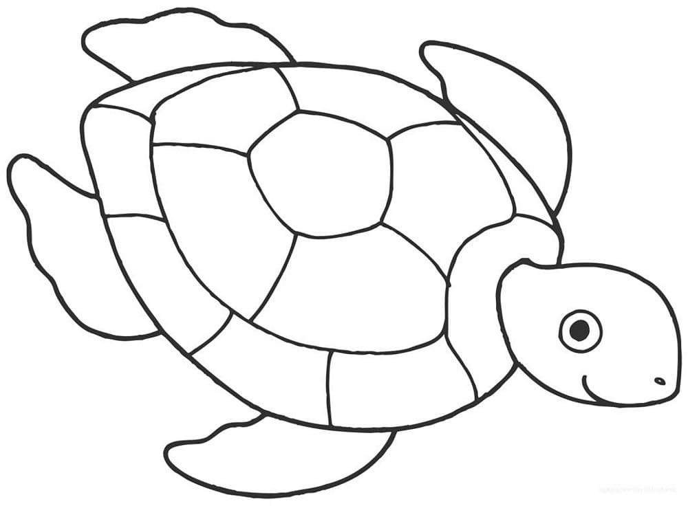 쉬운 바다 거북 coloring page