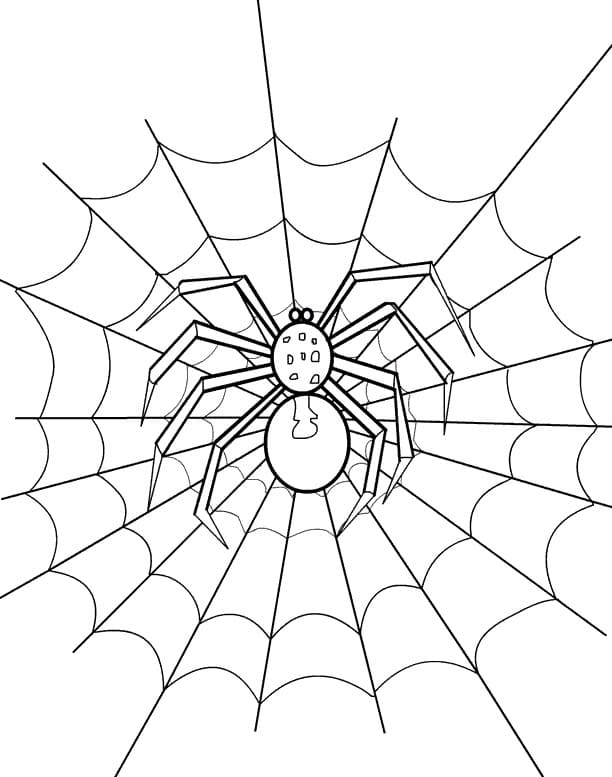 웹상의 거미 귀엽네요 coloring page