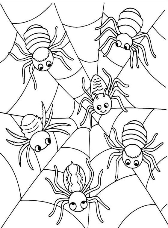 웹상의 거미 coloring page