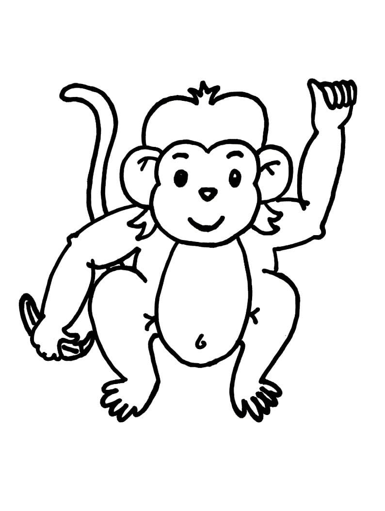 원숭이 무료 인쇄 가능 coloring page