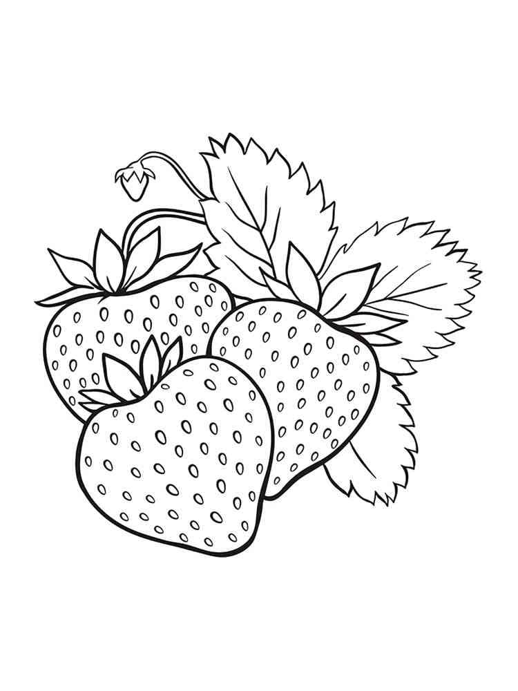 아이들을 위해 인쇄 가능한 딸기 coloring page