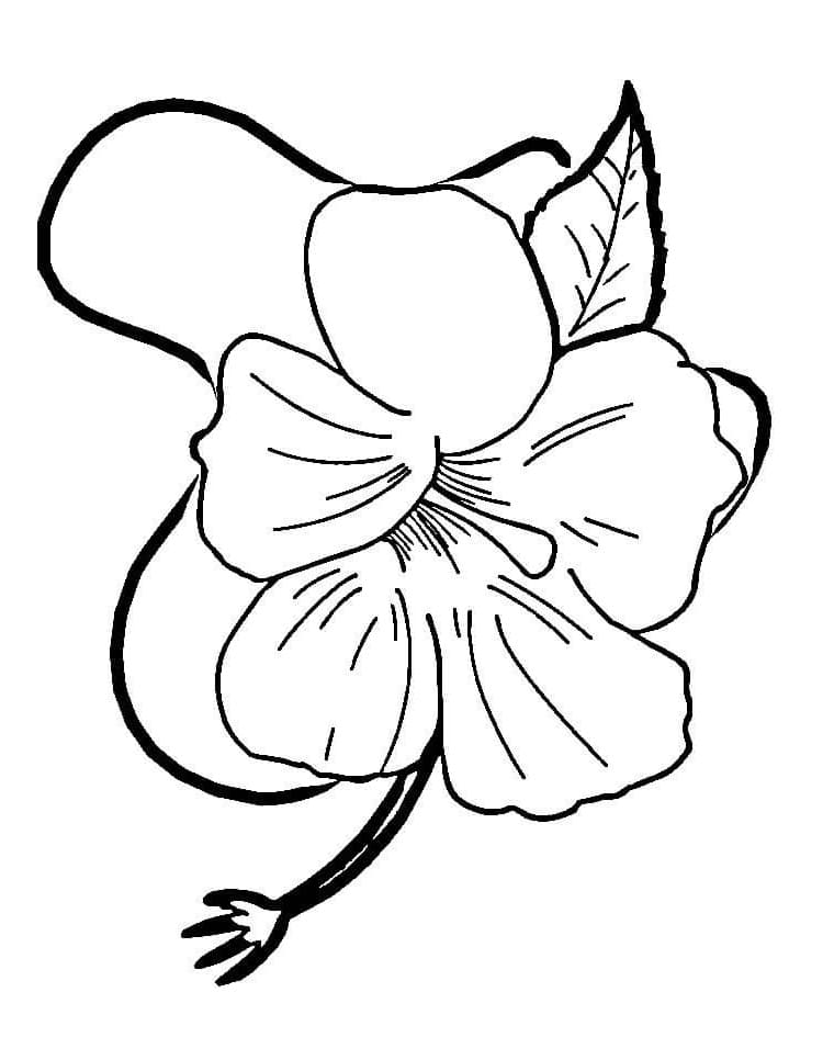 어린이를 위한 히비스커스 꽃 무료 coloring page