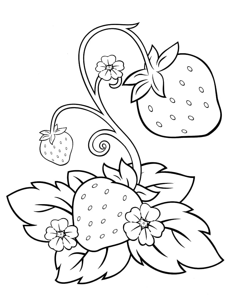 무료로 인쇄 가능한 귀여운 딸기 coloring page