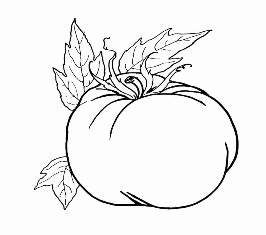 토마토 무료 인쇄 가능 coloring page