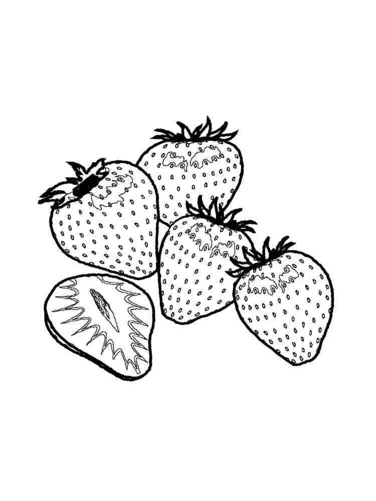 딸기 프리 coloring page