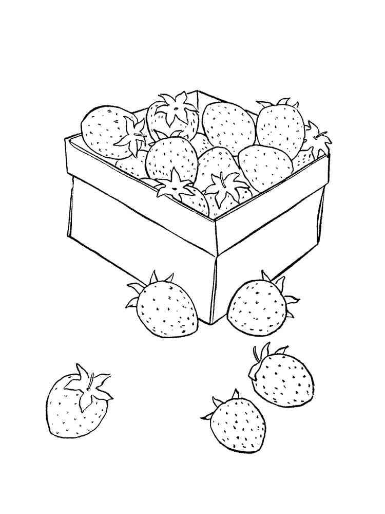 딸기 상자