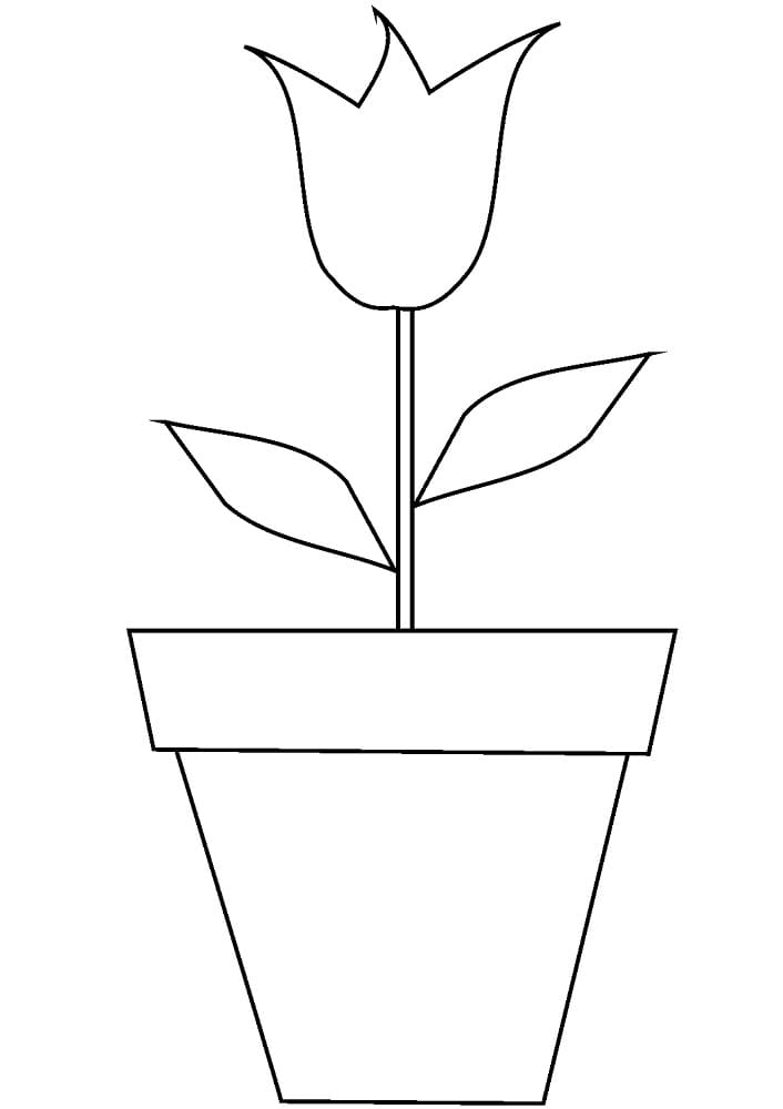 튤립 화분 coloring page